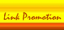 Link Promotion